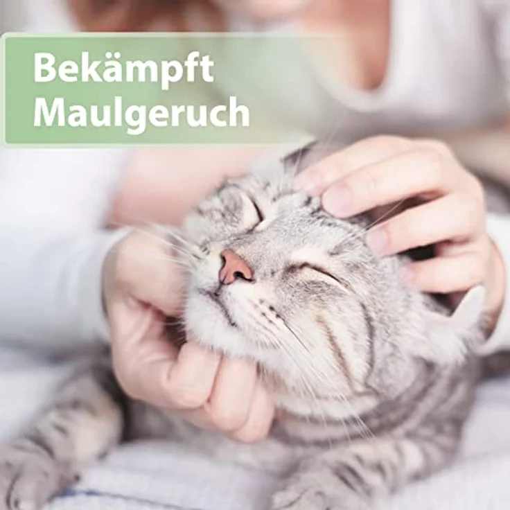 Felisept Zahnpflege Finger-Pads für Katzen, 50 Stück, zur Plaque-Reduktion und frischem Atem – Bild 2
