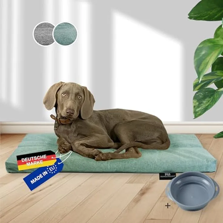 Rohrschneider Hundebett Made in EU | Hundematte mit Anti-Rutsch | strapazierfähiges Hundekissen für kleine, mittelgroße & große Hunde | Katzenbett | inkl. Futternapf | Gr. 3 (türkis, 120 x 75 x 7 cm)