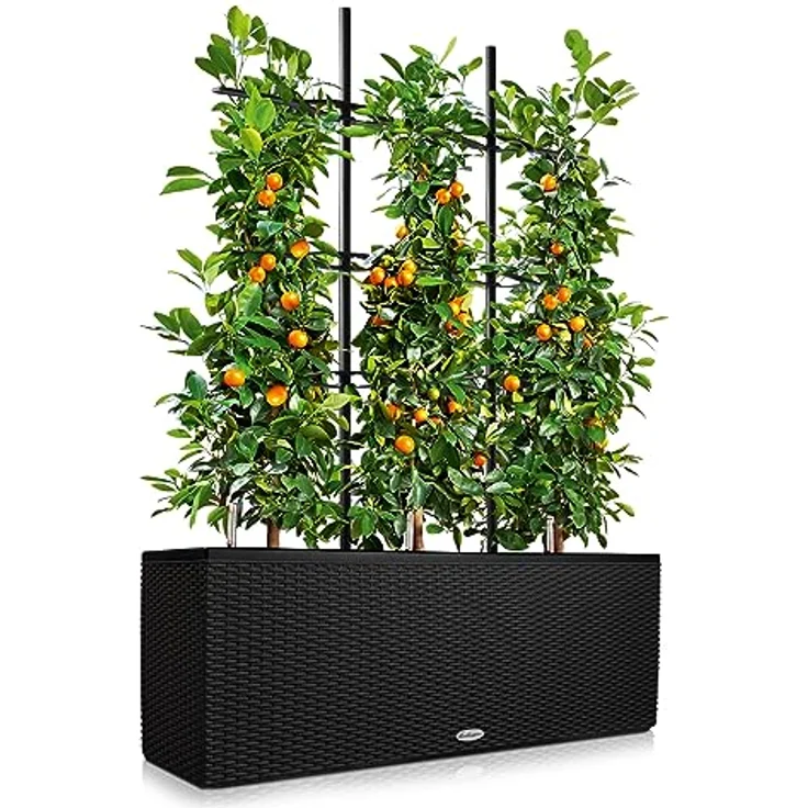 LechuzaВ® Hochbeet Pflanztrog Trio Cottage 30 in Erdtönen mit 4l Wasserspeicher - Preisvergleich – Bild 2