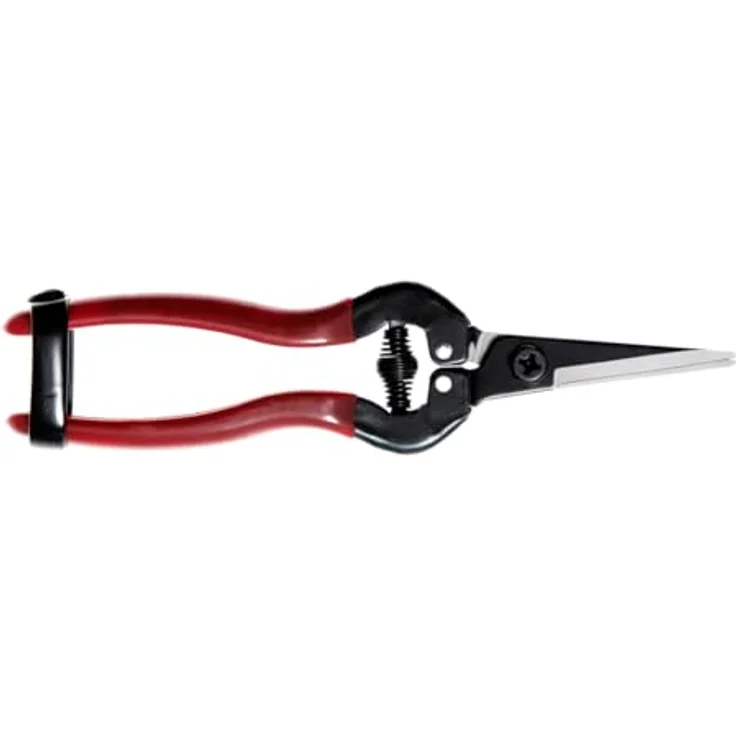Berger Traubenschere 1600 aus Qualitätsstahl für Weinreben und Obst mittelgroß – Bild 6