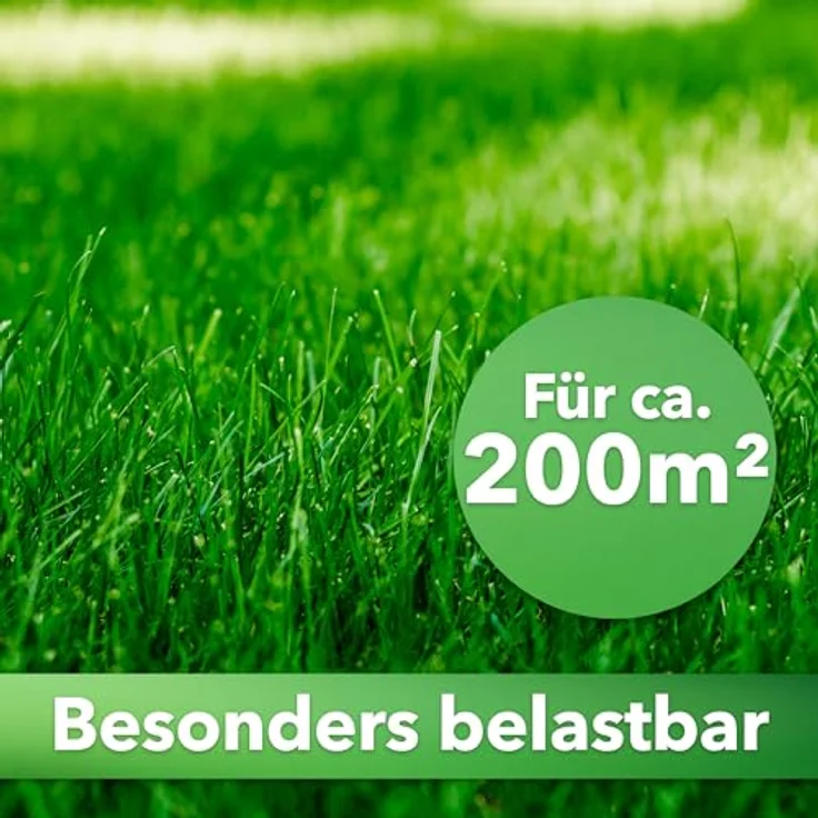 Hesa Gebrauchsrasen 5 kg für 200 m², Sport- und Spielrasen, schnellkeimende Premium Grassamen, strapazierfähig und robust in Profiqualität, RSM 2.3 – Bild 3