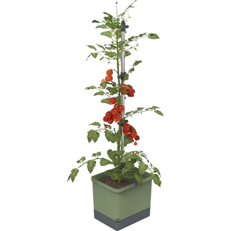 Gusta Garden Pflanzkübel TOM TOMATO, Tomatentopf mit stabiler Rankhilfe und Bewässerungssystem, dunkelgrün – Bild 1