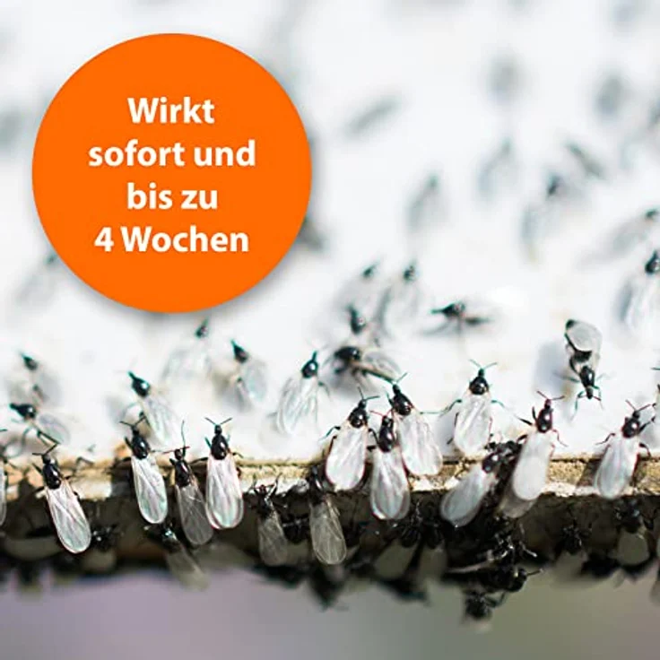 ARDAP Ungeziefer Zerstäuber 500ml - Effektives Insektenspray gegen Milben, Bettwanzen, Motten - Bekämpft Fliegen, Mücken und mehr – Bild 4