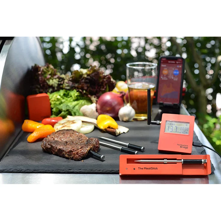 The MeatStick BR652 Set 4 (2 Stück) mit WiFi Bridge Kabelloses Grillthermometer – Bild 3