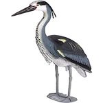 Oase Teichfigur Fischreiher