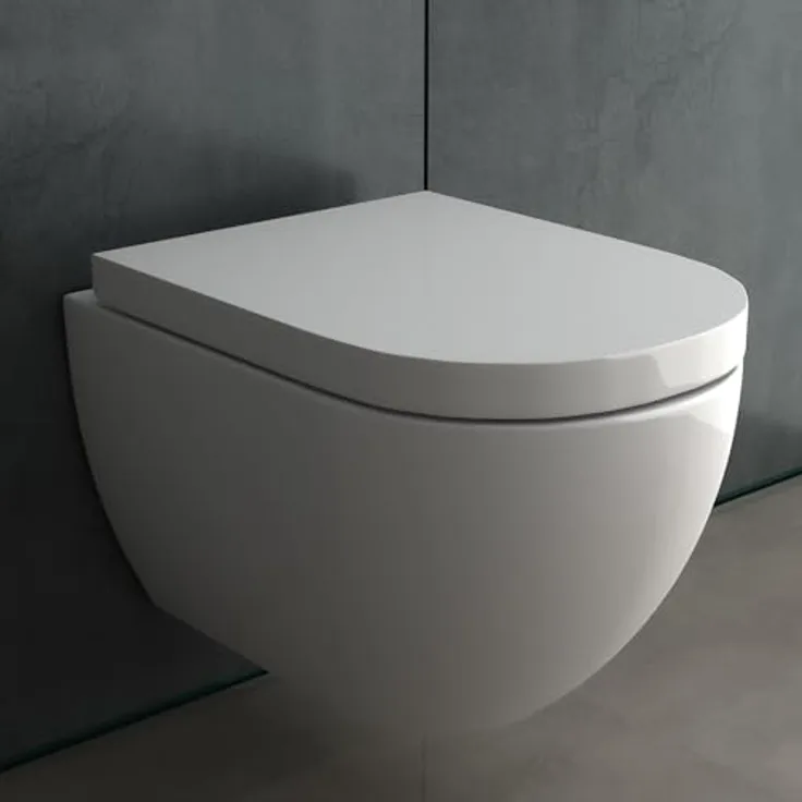 Alpenberger Spülrandloses WC mit Bidet Funktion | Hänge WC | WC Sitz mit Absenkautomatik | Dusch WC Taharet | Toilette mit Intimdusche | Wand WC Passend Geberit (6201 U)