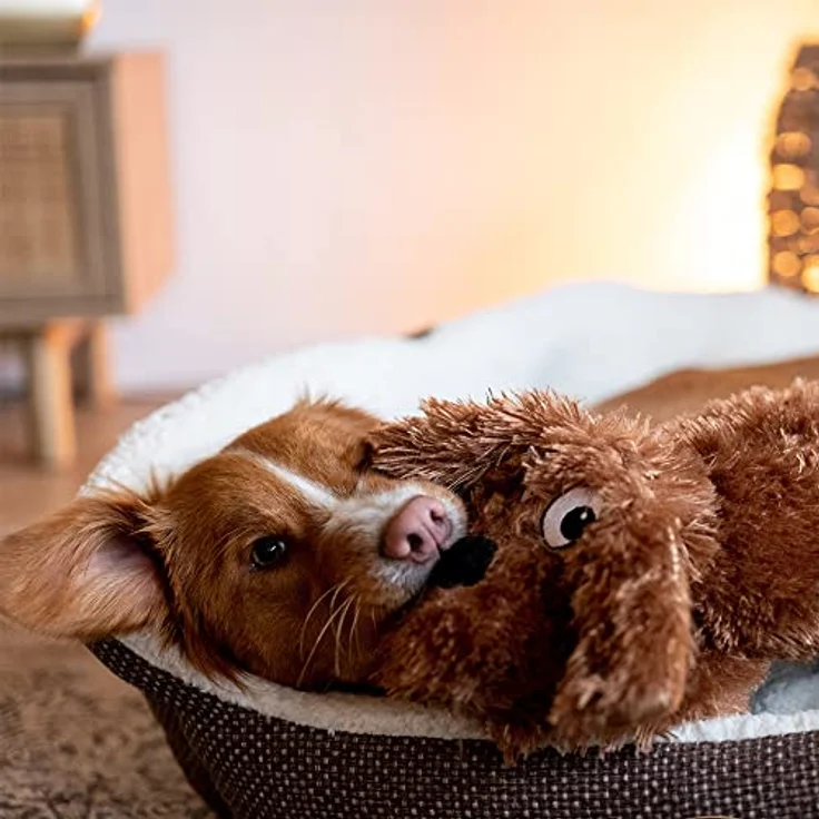 Nobby Plüsch Hund Schlappi für Hunde, ca. 27 cm, 1 Stück – Bild 4