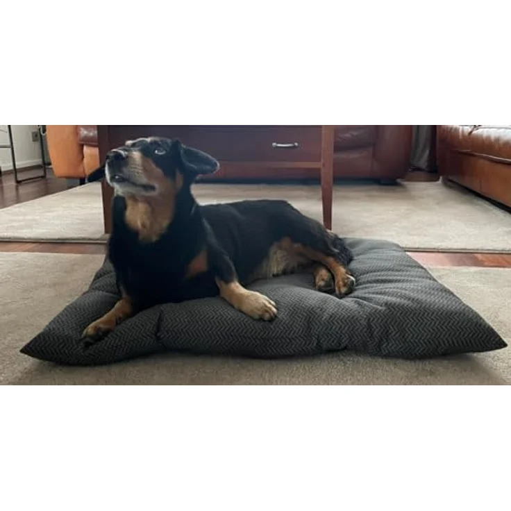 Ollesch Tierbett Lotta L 85 x B 60 cm grau, Weiches Hundebett und Katzenbett bis 30° waschbar – Bild 2