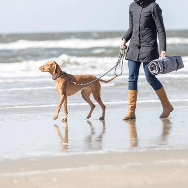 TRIXIE Hundeleine BE Nordic Retrieverleine S–M, 1,70 m Stuffenlos verstellbar in Sand/schwarz - Hundeleine mit Zugstopp ideal als Trainingsleine - für kleine bis mittelgroße Hunde - 17244 – Bild 5