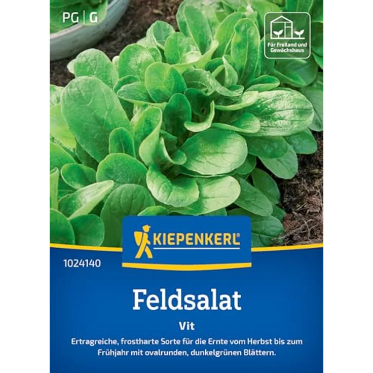 Kiepenkerl Feldsalat Vit, frostharte Gemüsesamen mit dunkelgrünen, rundlichen Blättern – Bild 1