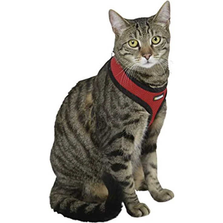 Kerbl 82644 Katzengeschirr Active mit Leine 120 cm, rot – Bild 2