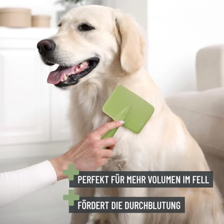 ReaVET TESTURTEIL SEHR GUT 05/24 Hundebürste & Katzenbürste für Langhaar I Kleine Rassen (S) I Entfernt sanft Unterwolle, Verfilzungen & Knoten I Haustier Bürsten – Bild 3