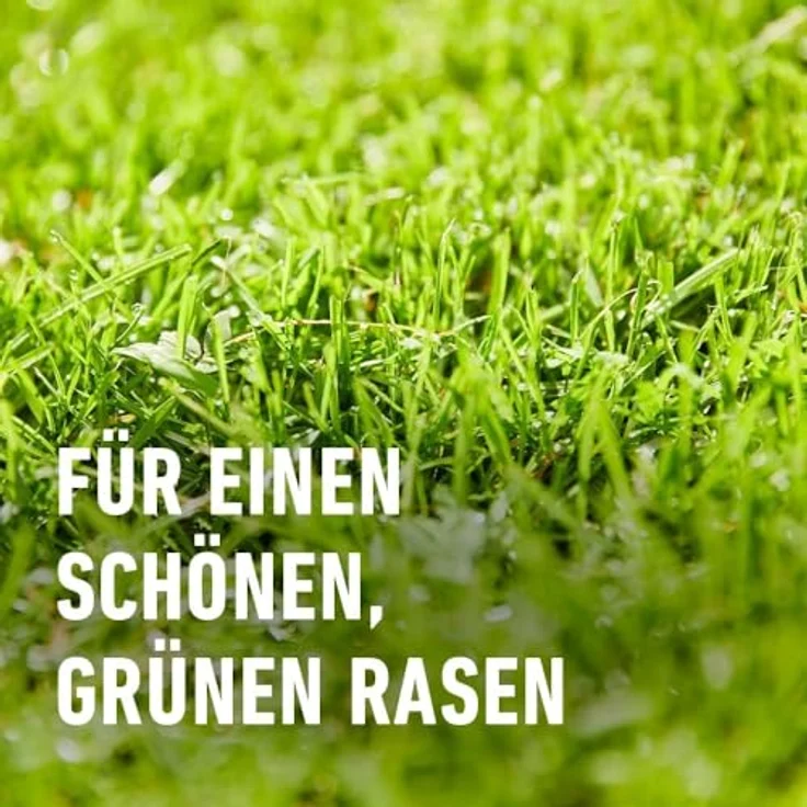 COMPO Turbo‑Nachsaat Premium Rasensamen, 5,0 kg für 250 m², schnellkeimend und strapazierfähig, ideal für kahle Stellen – Bild 5