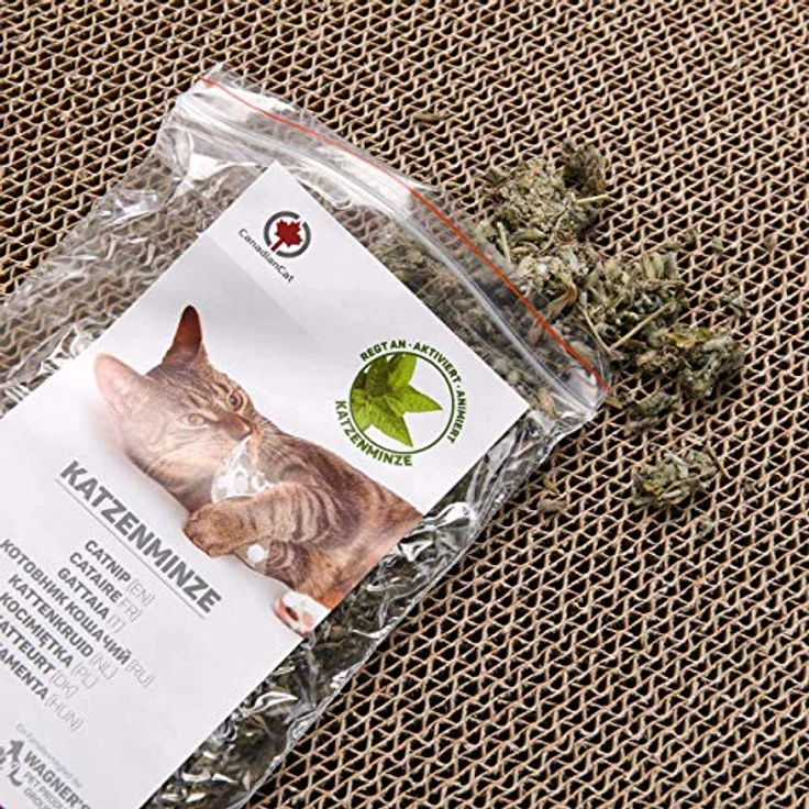 CanadianCat Kratzbrett Jumbo Wave, Walnuss (1.15 cm, Braun), Katzenbaum – Bild 7