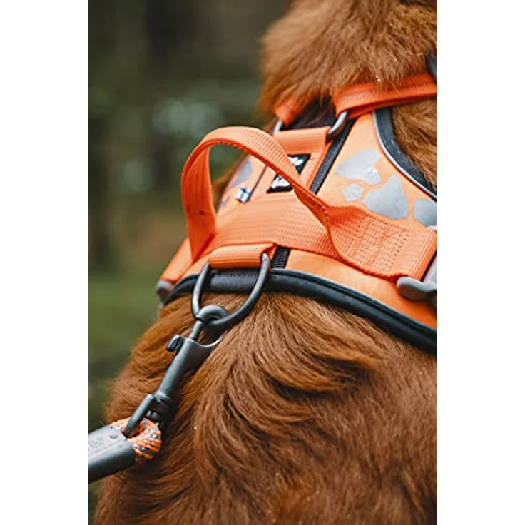 Hurtta Weekend Warrior Hundegeschirr für Hunde, Orange 40-45 cm – Bild 2