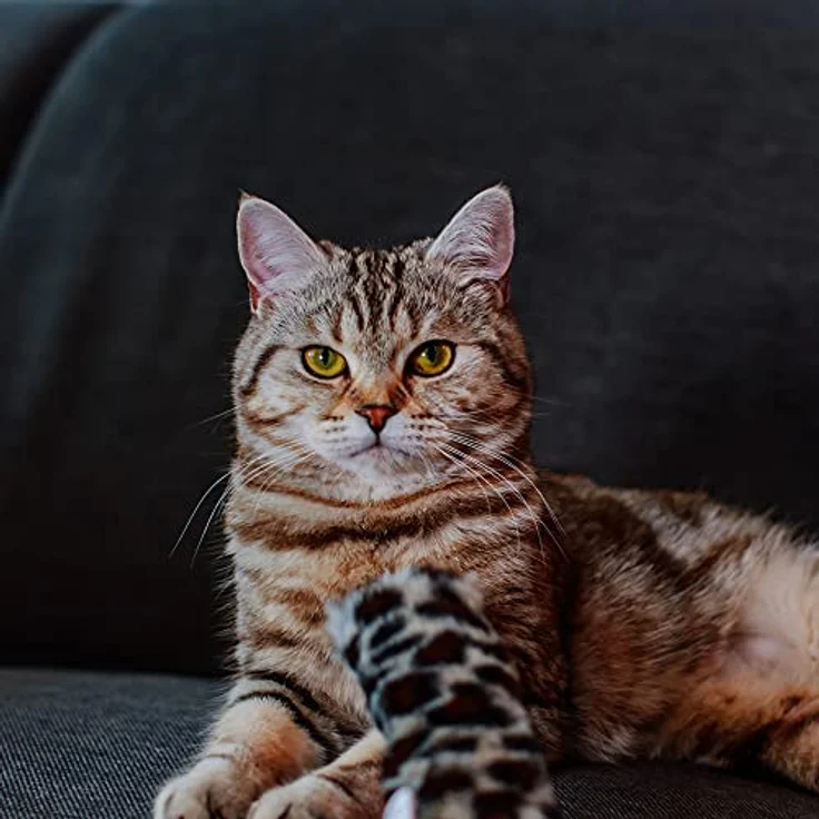 Nobby Baldrian-Kissenrolle 19 x 5 cm – Bild 2