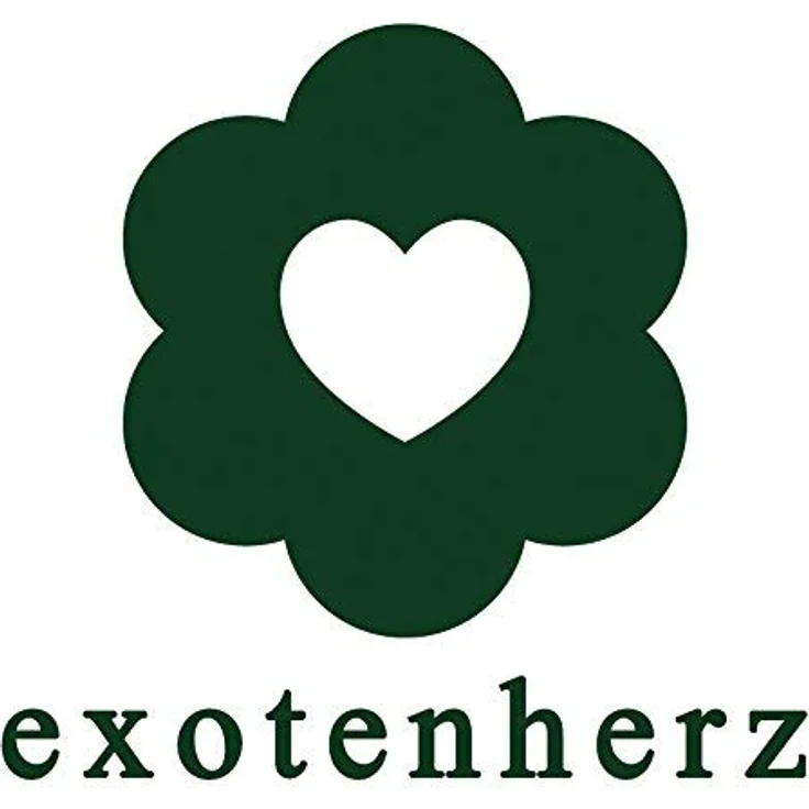 Exotenherz Sansevieria Trifaciata Hahnii, Set aus 3 Bogenhanf Pflanzen im 5,5cm Topf, pflegeleicht und dekorativ – Bild 4