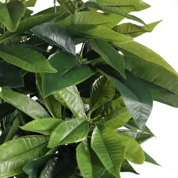 hjh OFFICE Kunstpflanze 160cm PACHIRA Künstliche Deko Pflanze für Schlafzimmer Büro Wohnzimmer, detailgetreues Aussehen, geruchsarm – Bild 2