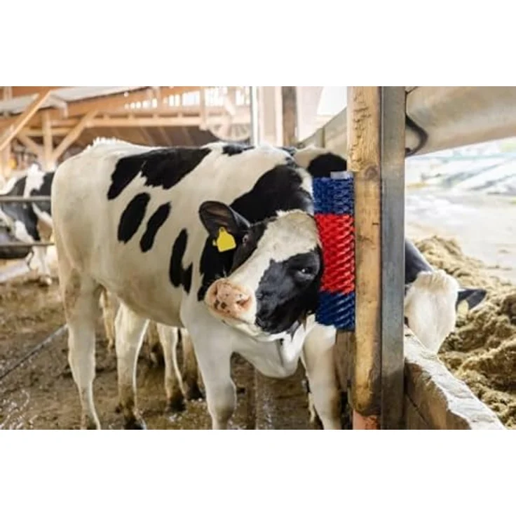 Kerbl Fellbürste Kerbl Halbrunde Tier Kratzbürste XL blau-rot, ermöglicht arttypisches Scheuern, ideal für Rinder, Pferde uvm. – Bild 3