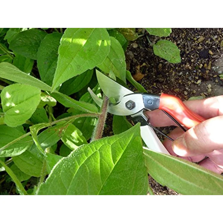 Okatsune 103 Gartenschere für allgemeine Zwecke – Bild 7