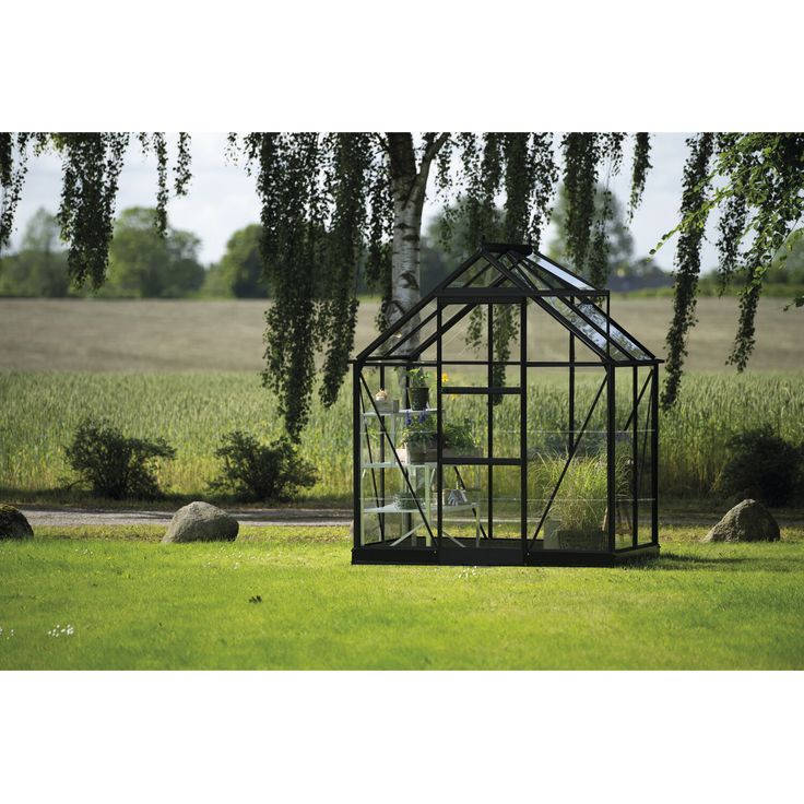 Halls Gewächshaus 'ICON 6', 2,5 m² mit 3 mm Blankglas schwarz, Aluminiumgestell und Dachfenster