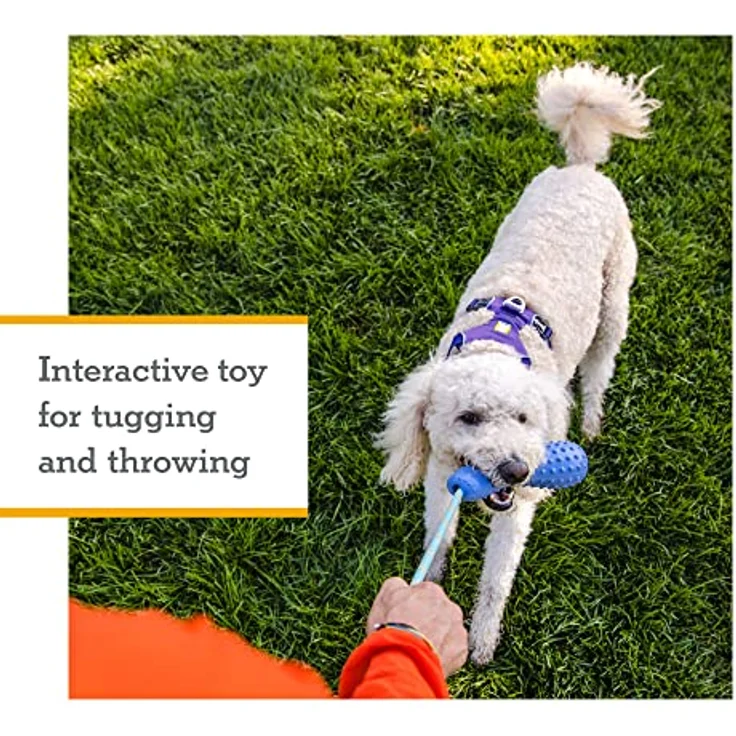 RUFFWEAR Gourdo Hundespielzeug, interaktives Zerrspiel, widerstandsfähiges Naturkautschuk-Wurf-/Fangspielzeug mit Kernmantelseil, Langeweile-Brecher, kausicheres Gerät, Sage Green, Large – Bild 2