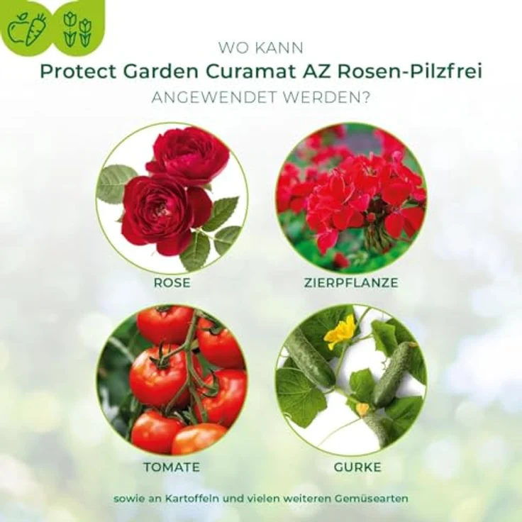 PROTECT GARDEN Curamat AZ Rosen-Pilzfrei, Konzentrat gegen Pilzkrankheiten für Rosen, Zierpflanzen und Gemüse, 15 ml, mit natürlichem Wirkstoff – Bild 4