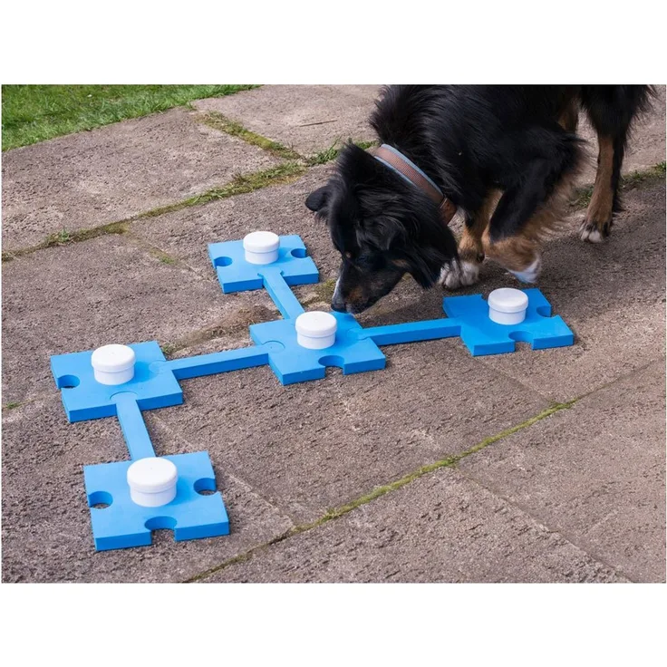 Procyon Schnüffelspaß, Tier-Intelligenzspielzeug für Hunde, blau