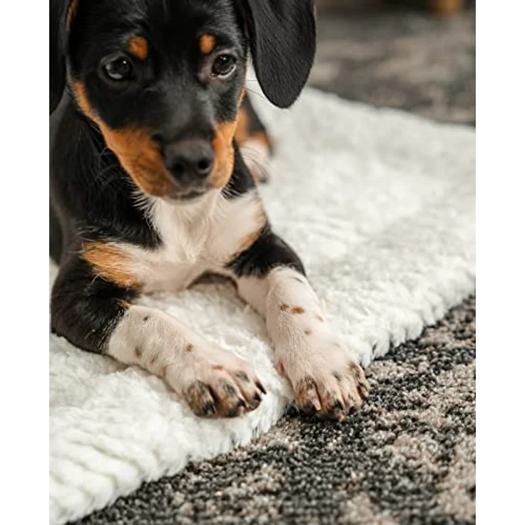 lionto Wendedecke für Haustiere waschbare gefütterte Matte wärmende Liegedecke für Hunde und Katzen, (S) 50x35 cm – Bild 3