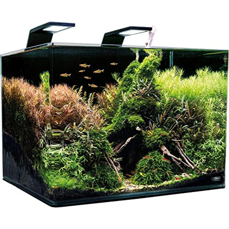 DENNERLE Nano Scapers Tank 70 L, Aqauscaping Aquarium mit Panorama Scheibe und Sicherheitsunterlage – Bild 2