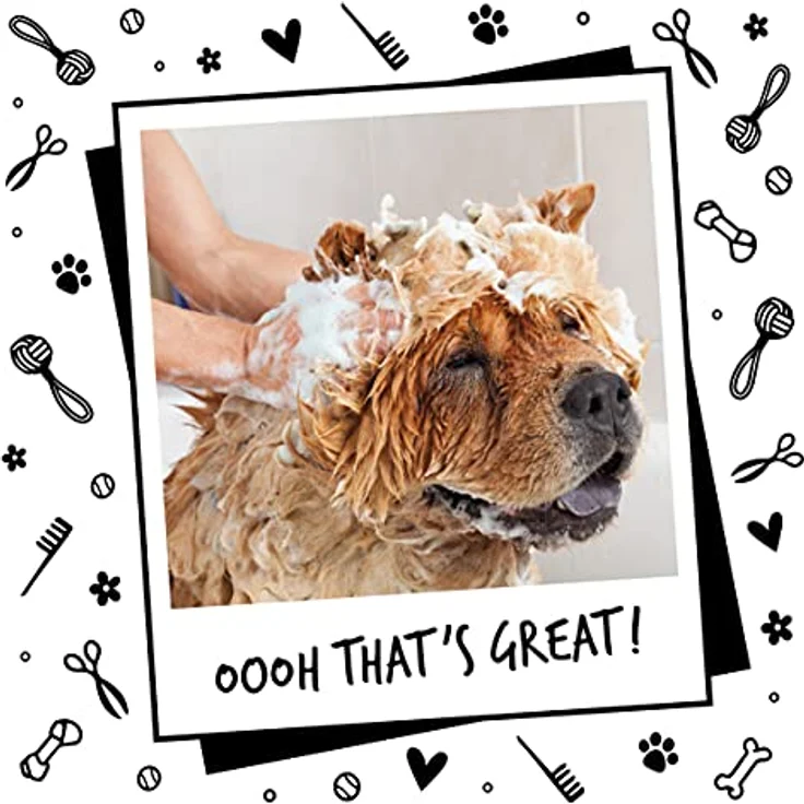 Bugalugs Hundeshampoo One In A Million, 500 ml, ph-neutral, mit ätherischen Ölen, Unisex-Duft – Bild 7