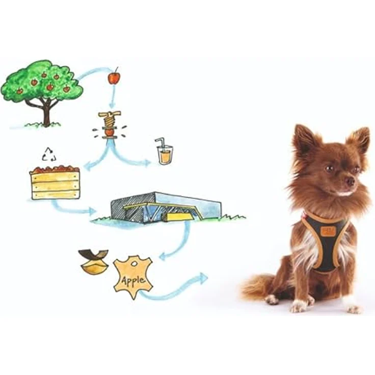 Curli Apple Hundegeschirr aus Leder, Braun/XS - Flexibles Hybrid-Leder, optimierte Passform – Bild 5