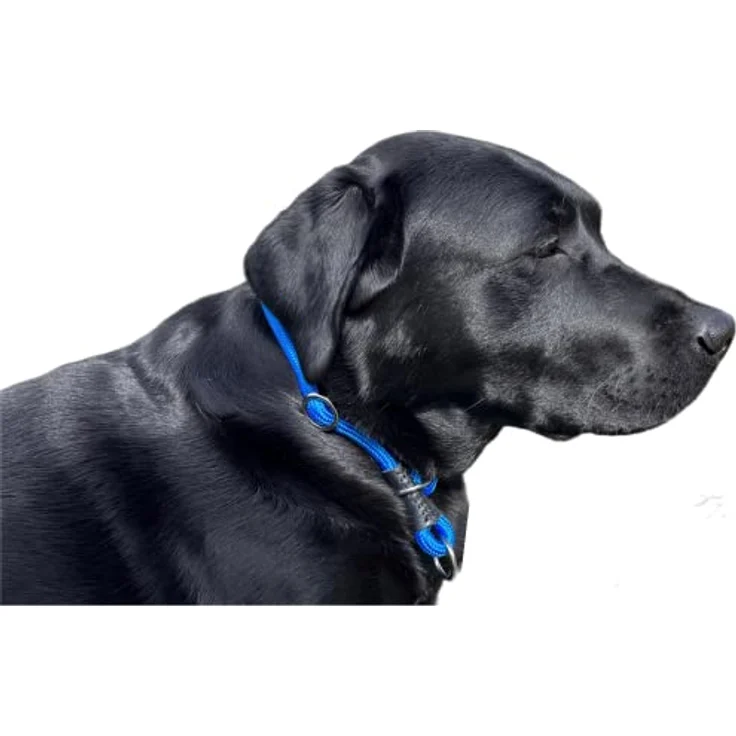 MediMuc Soft Cord - Hundehalsband mit Zugbegrenzung, Nylon Halsung, Zugstopper, blau, XS - 40cm, einstellbar, robust, wetterfest, textilverstärkt, Leder-Endkappen – Bild 2