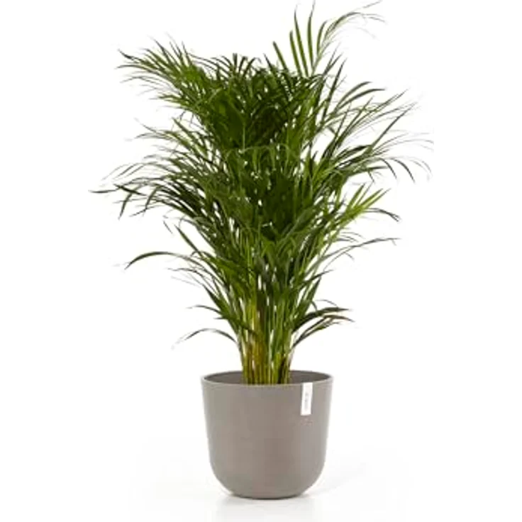 Ecopots Decolines 35 cm Ø Taupe Kunststoff-Blumentöpfe | Wetterfeste Blumentöpfe für Balkon und Terrasse – Bild 4