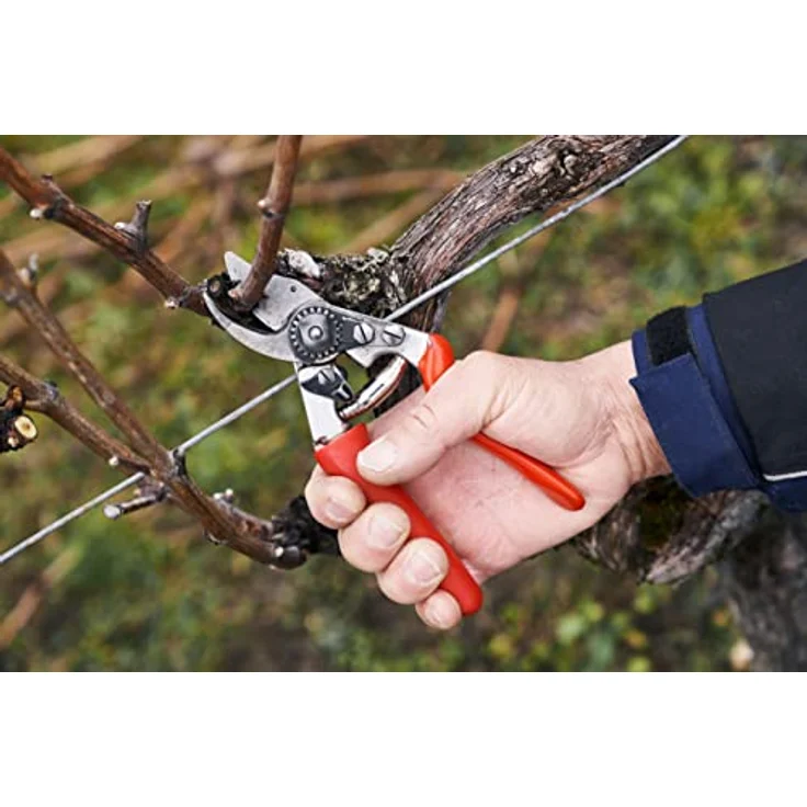 Baumschere FELCO 15 – Bild 3