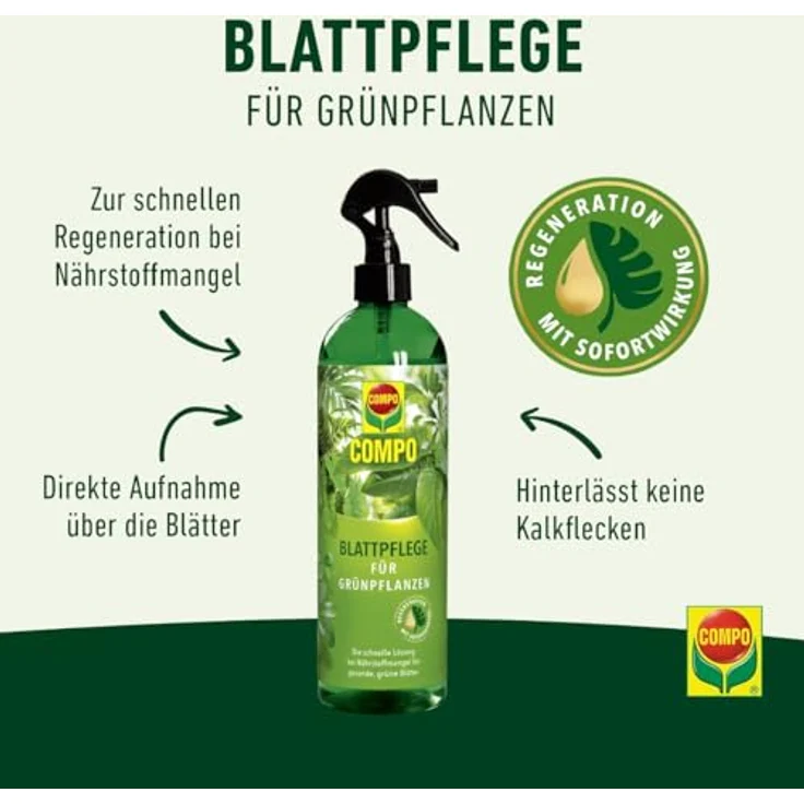 Compo Blattpflege für Grünpflanzen Spray, 500 ml – Bild 3