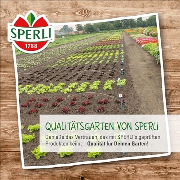 Sperli Monatserdbeeren Bowlenzauber – Bild 8