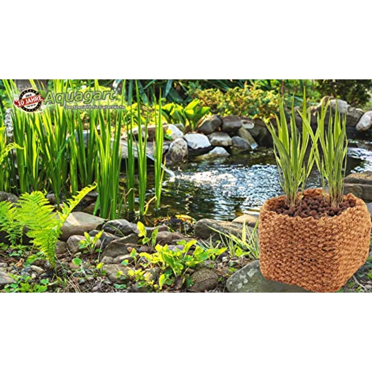 Aquagart Kokos Pflanzkorb 10er Set, 20cm x 20cm x 15cm, 100% natürliche Wasserpflanzen-Töpfe für Teich & Ufer, ohne Kunststoff – Bild 5