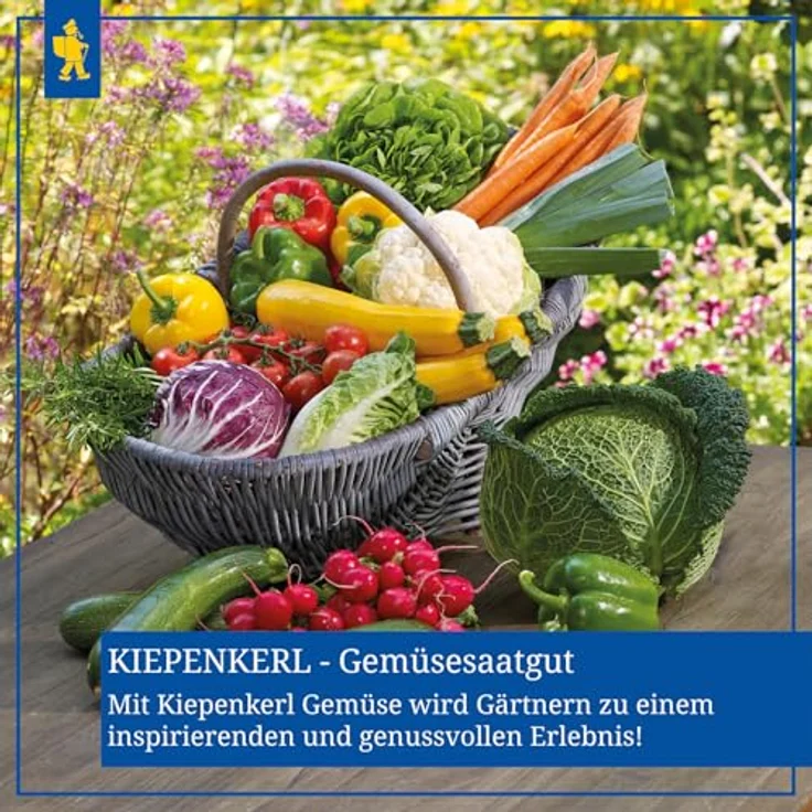 Kiepenkerl Stangenbohnen Limka flachhülsig – Bild 4