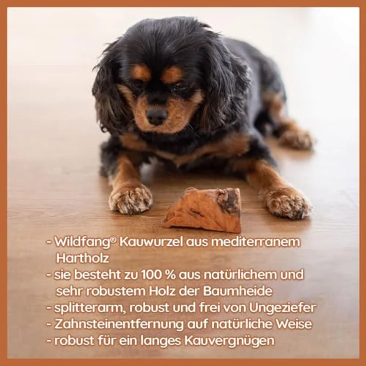 Wildfang® Kauwurzel aus der Baumheide für Hunde, Robustes und Langlebiges Kauwurzel Hund, Splitterarmes Kauholz als Hundespielzeug für optimale Zahnpflege für Hunde und Welpen bis 15 kg - S – Bild 4