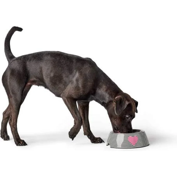 HUNTER BIRI Melamin-Napf, mit Edelstahlnapf, 160 ml – Bild 4