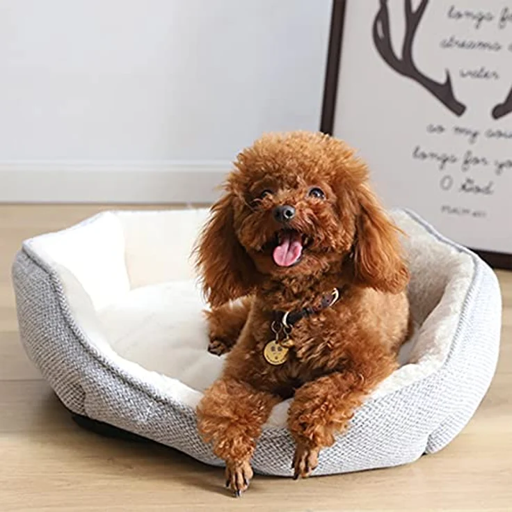 PUCHIKA Hundebett kleine Hunde, Hundebett waschbar, Hundebett Grosse Hunde, Hundekissen flauschig, Hundesofa waschbar, Haustierbett rutschfest, L x W (70 x 65) cm, Weißgrau – Bild 3