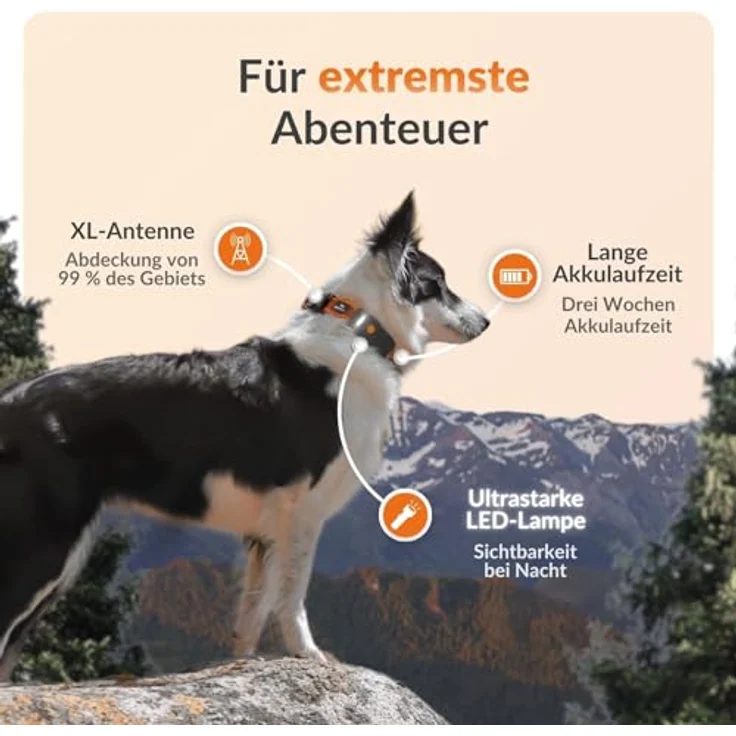 Weenect Hund XT, GPS-Halsband mit XL-Antenne, wasserdicht, integriertes Julius-K9 Halsband in Orange, Abonnement erforderlich – Bild 2