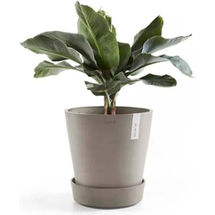 Ecopots Amsterdam Blumentopf-Untersetzer mit Rollen, Ø 51 cm, braungrau, Kunststoff, mit Kupferring zur Verhinderung von Steckmückenlarven – Bild 4