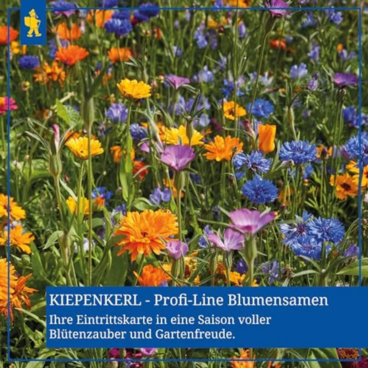Kiepenkerl Saatgut Schattenblumen 3-4 m² - Preisvergleich – Bild 3