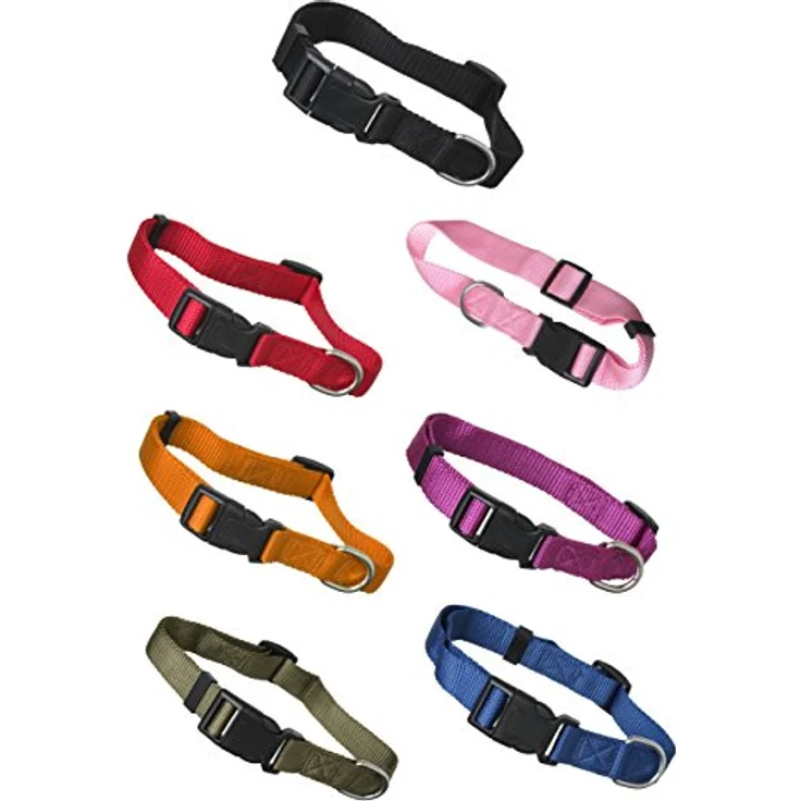 scarlet bijoux Hundehalsband »Universal« aus robustem Nylon mit Klickverschluss und Längenverstellung, S: 24-34 x 1,5 cm, orange – Bild 5