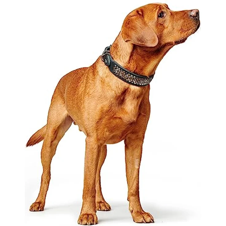 HUNTER Halsband Arizona Up Farbe schwarz, Größe 32 – Bild 5