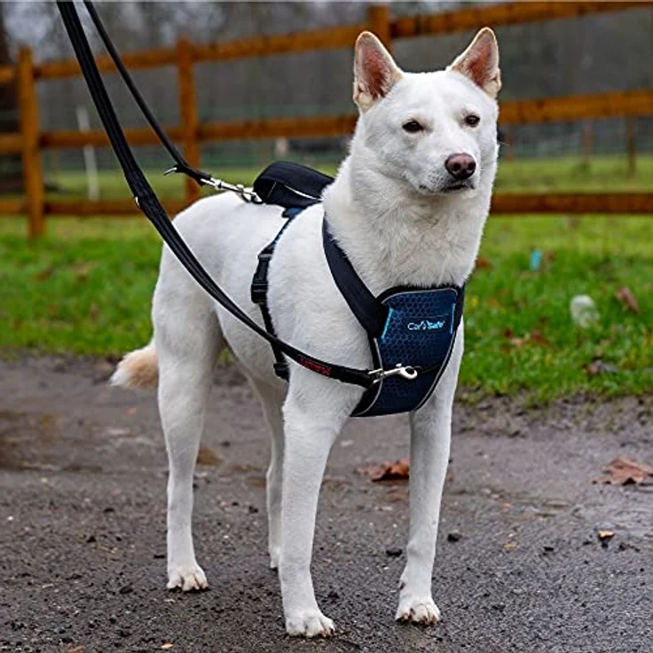 Company of Animals CarSafe Crash-getestetes Hunde Sicherheitsgeschirr, Crashtest-geprüft bis zu 32 kg / 70 lbs, komfortables und gepolstertes Design, reflektierend, Größe M, für mittelgroße Hunde (schwarz) – Bild 4