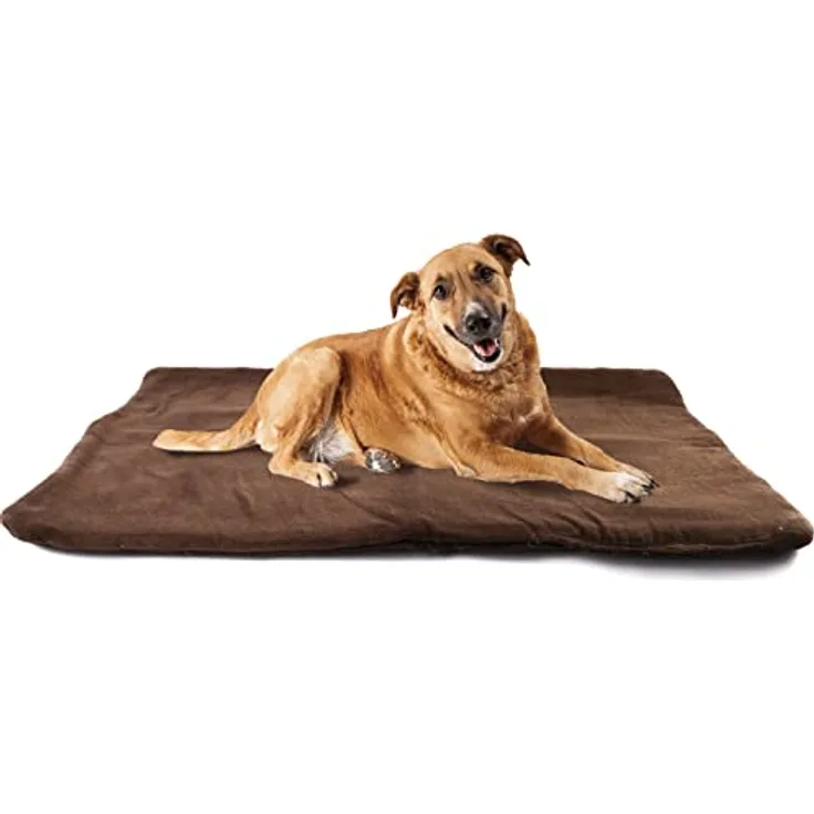 vitazoo Haustiermatte in braun in 70 x 100 cm, isoliert und leicht gepolstert – Tierdecke für Hunde und Katzen, ideal zum Mitnehmen und Transportieren, Unterseite rutschfest