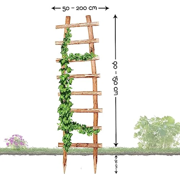BooGardi Natürliche Rankhilfe aus Holz · 33 Verschiedene Größen · Höhe 120 x Breite 50 cm · Garten Rankgitter Kletterhilfe · Spalier freistehend für Kletterpflanzen – Bild 4